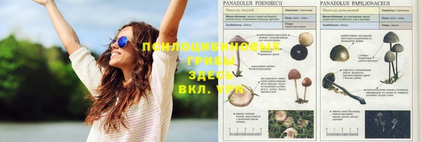 метадон Красноперекопск