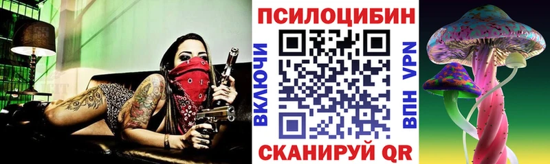 Псилоцибиновые грибы Cubensis  Купить  Крымск 